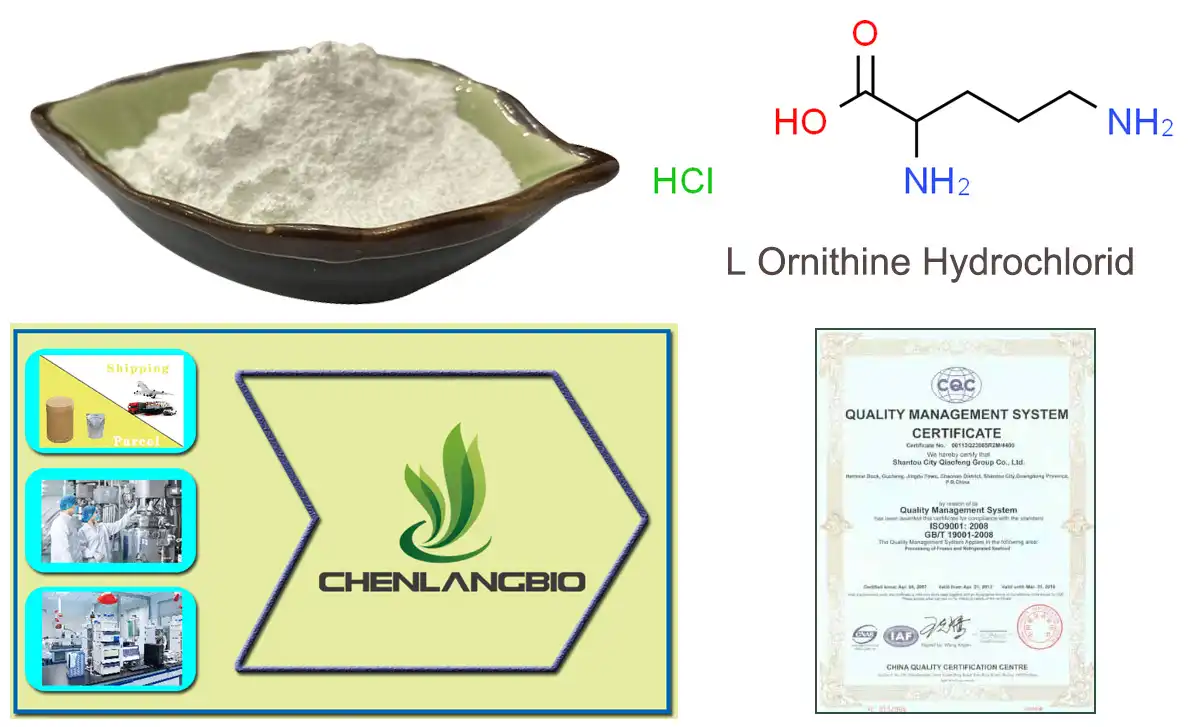 L Ornithine Hydrochloride Saler.jpg